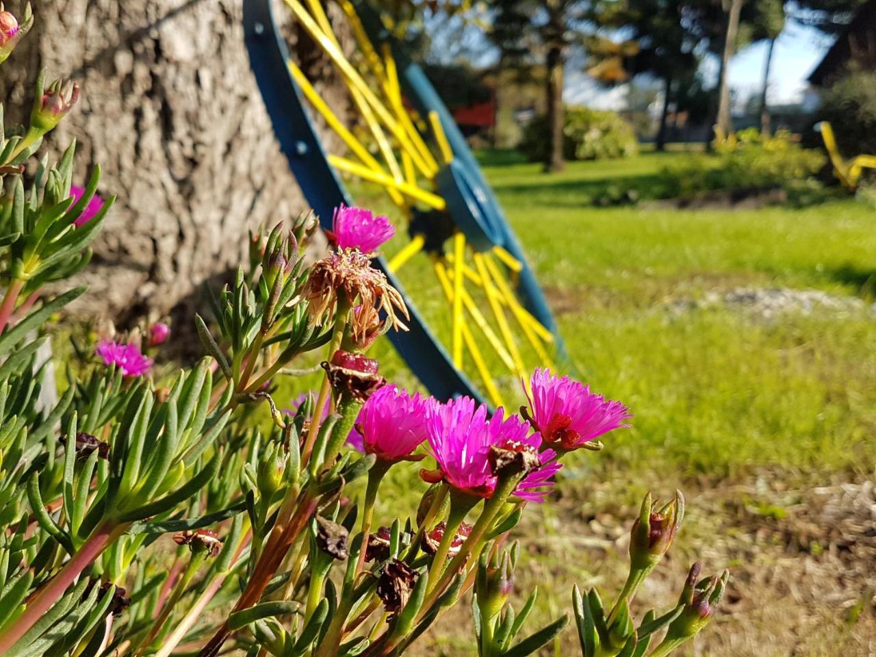 Cabanas Risso Villa Villarrica Esterno foto