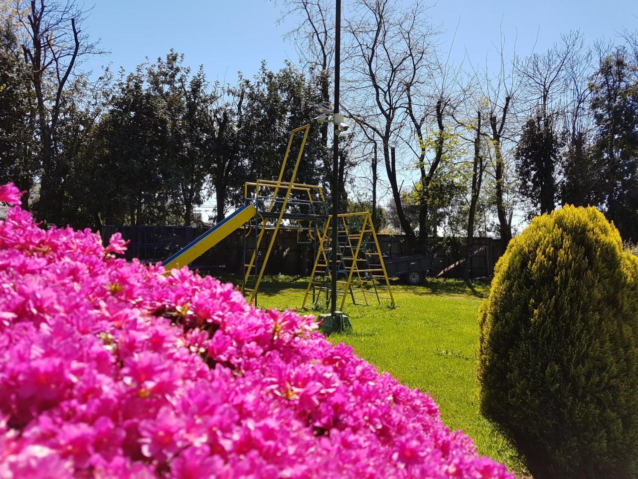 Cabanas Risso Villa Villarrica Esterno foto